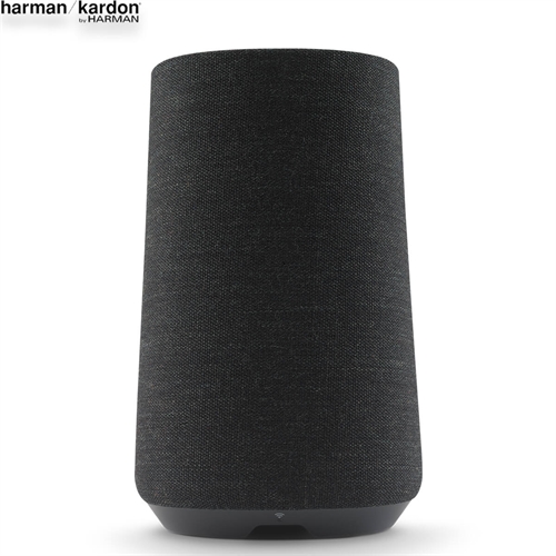 Loa Harman Kardon Citation 100 12